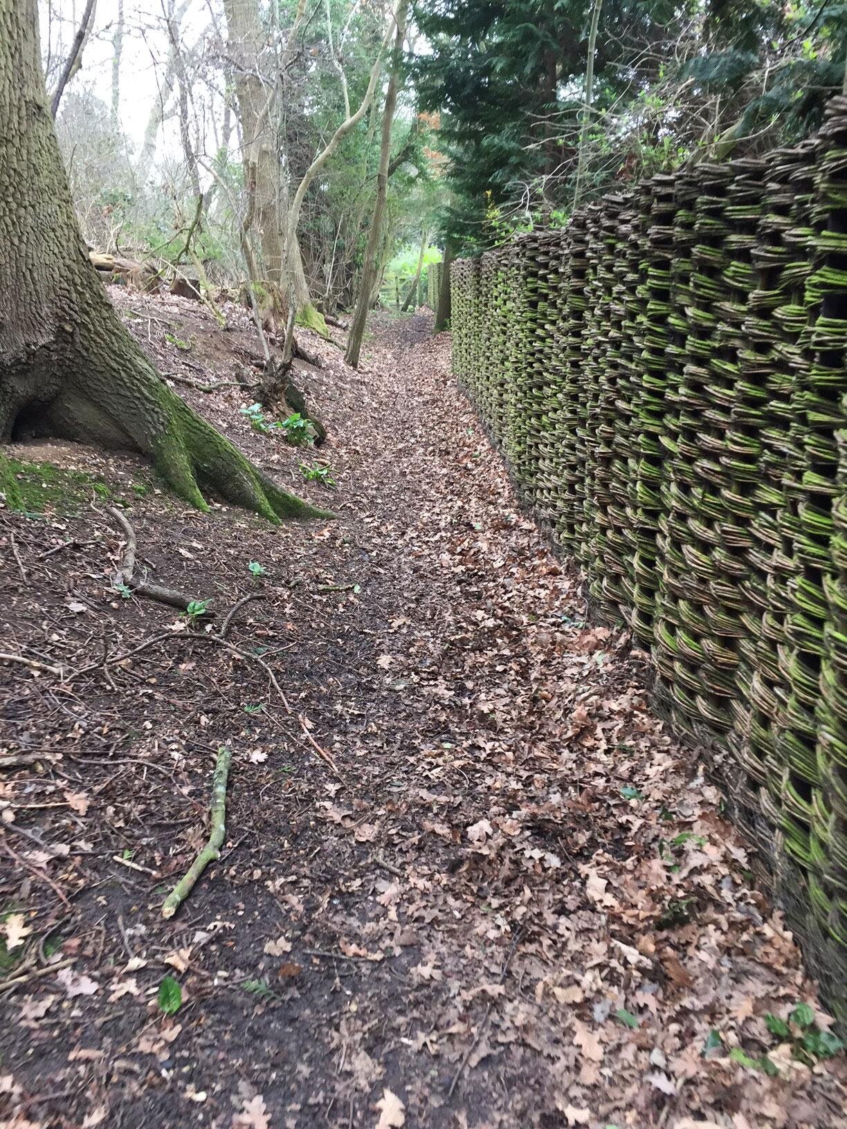 Walking the final section of the Essex Way, an 82 mile long trail from Epping to Harwich. Getting outdoors and supporting local females for International Women's Day.