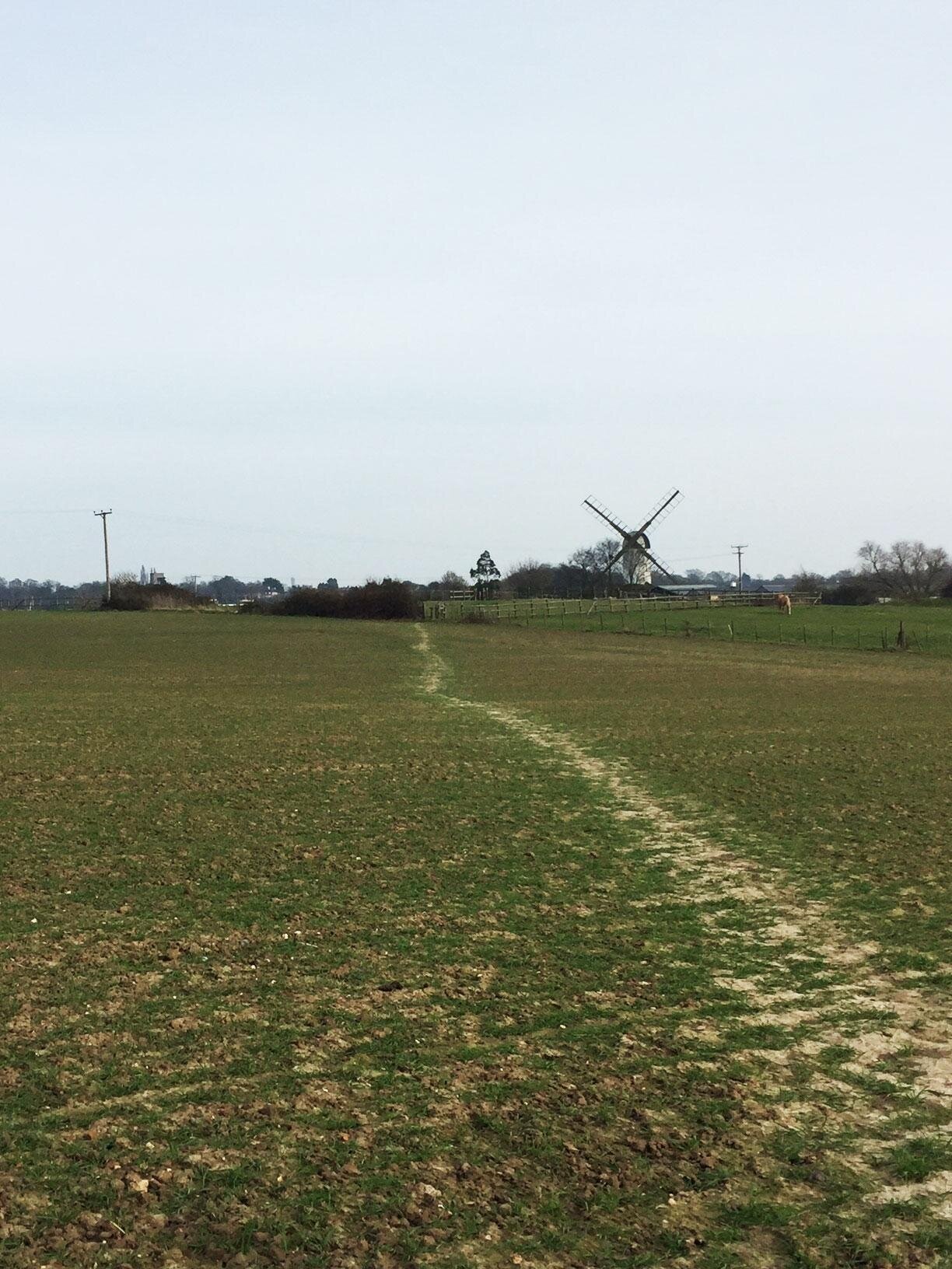 Walking the final section of the Essex Way, an 82 mile long trail from Epping to Harwich. Getting outdoors and supporting local females for International Women's Day.